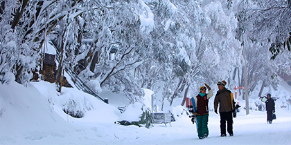FallsCreek Village PromoCard